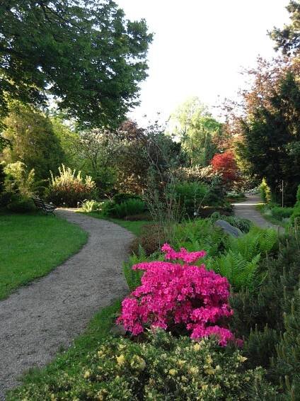 Botanická zahrada zve k relaxu - Prostějov