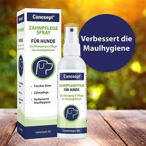 Canosept sprej na čištění zubů, 100 ml