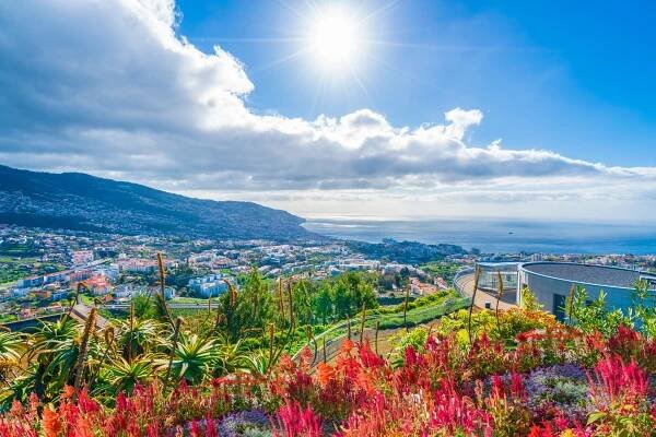 Beautiful view from a Funchal Viewpoint - Visiting Madeira in December