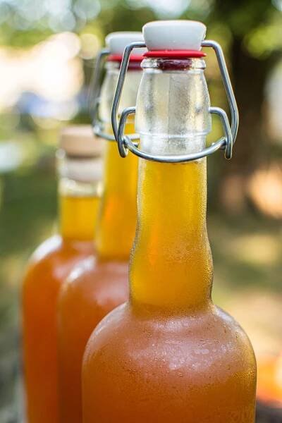 Slaughter Orchard & Cidery – Squeeze the Day
