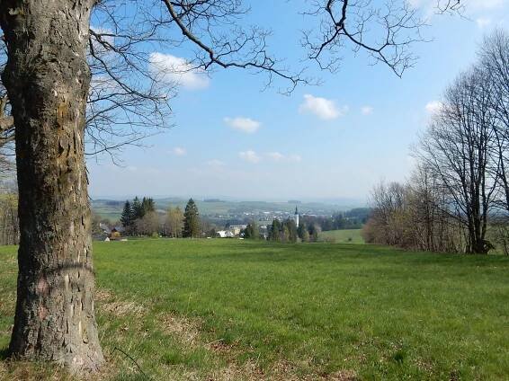 Alej na Anenský vrch - akce, info, počasí, fotografie