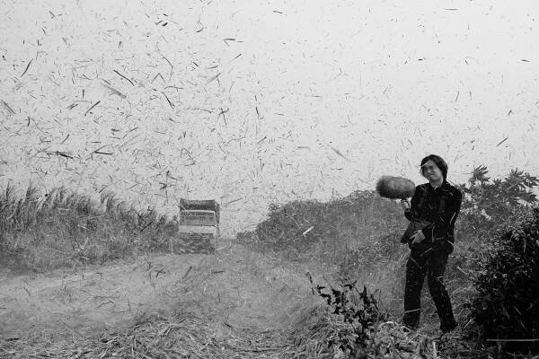 An Interview with Wang Fujui