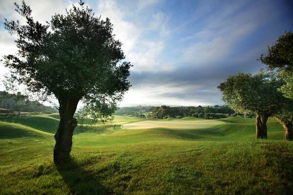 2. Costa Navarino