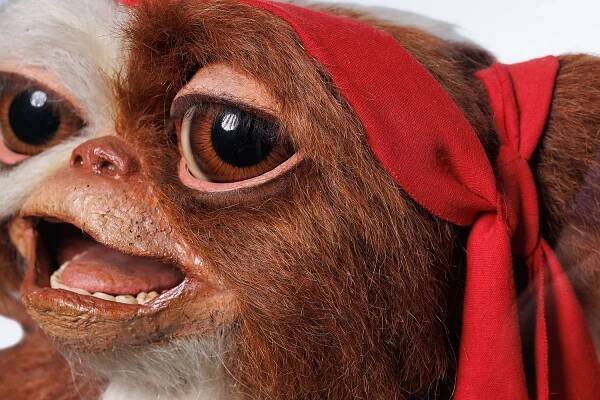 Closeup of a Gizmo movie prop from Gremlins 2