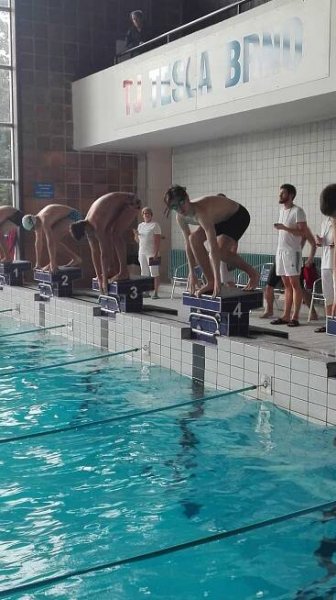 Závody v plavání - Cyrilometodějské gymnázium a střední odborná škola pedagogická Brno