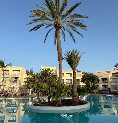HOTEL RIU OLIVA BEACH RESORT - Updated 2025 Prices & Resort (All-Inclusive) Reviews (Fuerteventura/Corralejo)