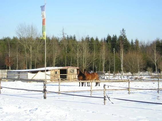 Farma Na Cikánce > Výrobky z vlny > Fotogalerie