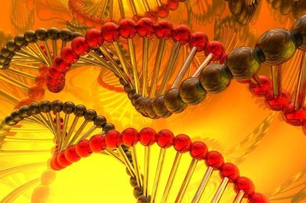 dna_sroubovice_genetika_vyvojove_vady_istock_000007126655small-352x198.jpg