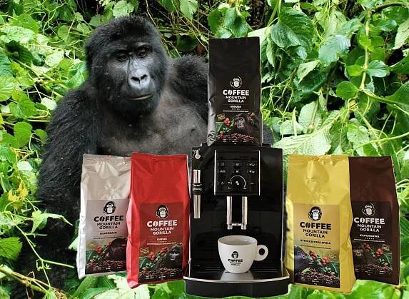 S gorilou na vandru! – Kup kávu, vyhraj gorilu! | Mountain Gorilla