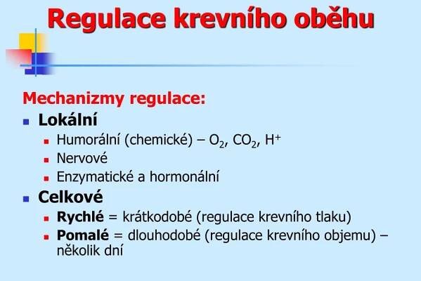 PPT - Řízení činnosti srdce a cév PowerPoint Presentation, free download - ID:4098426