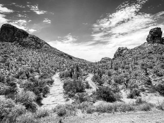 Part Of The Song – this is your life chuck johnson