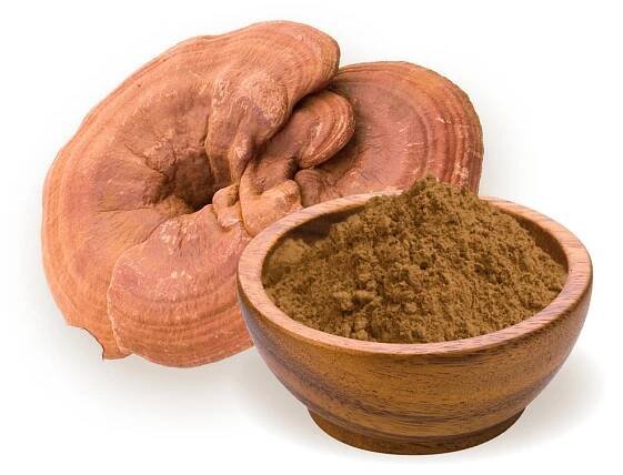 BioMenü bio Ganoderma Houbový prášek 100 g