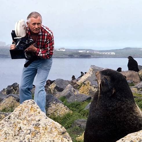 Heinz Sielmann filmt Pelzrobbe in der Beringsee