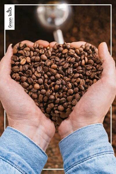 mletá káva BRAZÍLIE YELLOW BOURBON 100% arabica 1 kg Green Touch Obchodní název ostatní