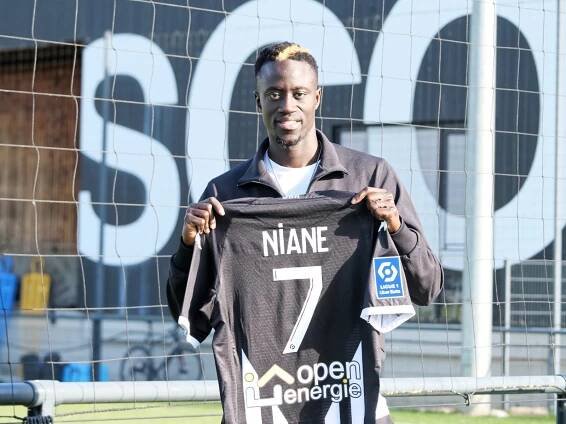 Bienvenue à Angers Ibrahima Niane! - Angers SCO