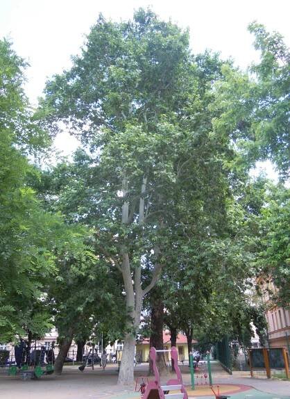 Park Výtoň