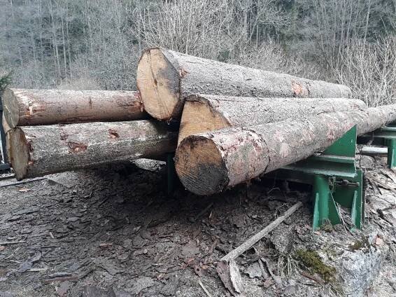 Pila Hamry Tomáš Broj 2018