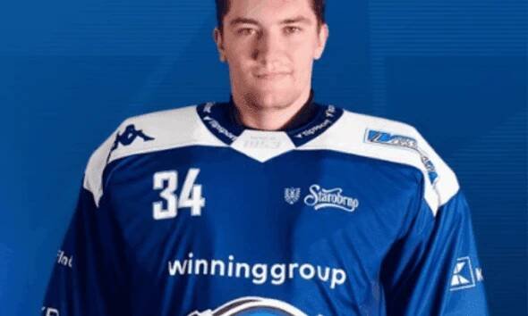 Michal Postava, Red Wings