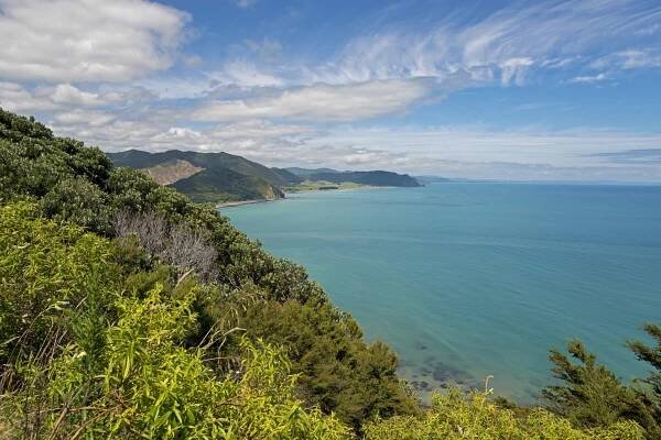 Gisborne