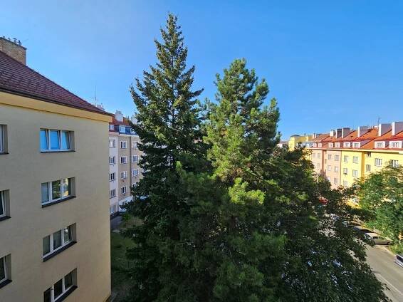 Pronájem bytu 2+1/L, Petra Rezka, Praha - Nusle | Šerák - reality