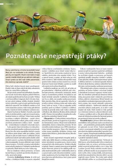 srostloprsti