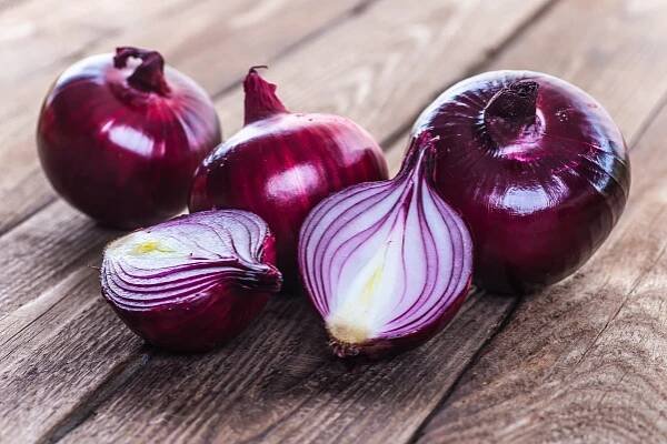 SV4643 Onion Plants - Sunbelt Transplants