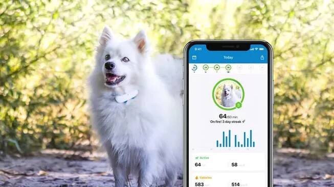 Tractive GPS DOG 4 tracker polohy a aktivity pro psy bílý - Smarty.cz
