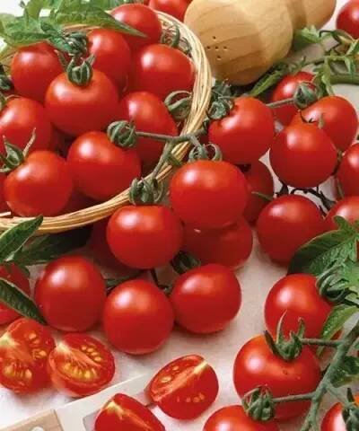 Cherry rajčátka ’Bejbino’ tyčkové