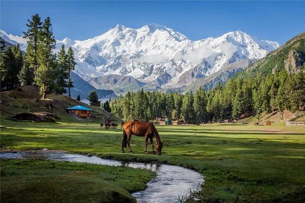 Pákistán - Pohodový Karákóram s turistikou pod Nanga Parbat a plnou penzí - 2025/26 - CK Poznání 