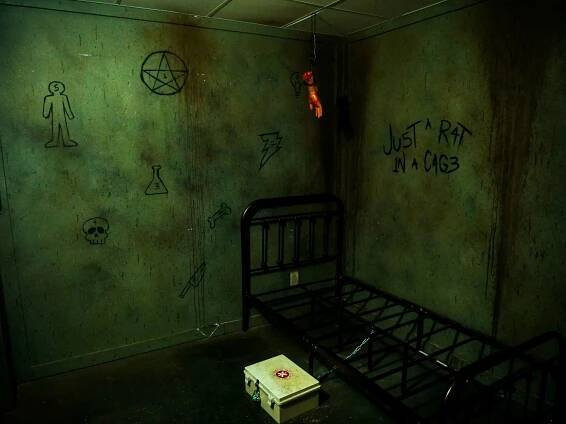 Asylum