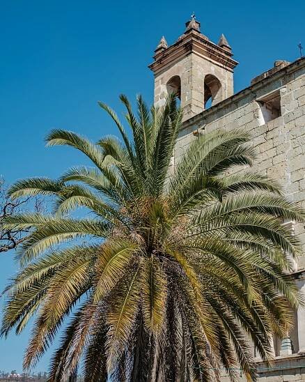 Mark Brouch - Oaxaca, Mexico