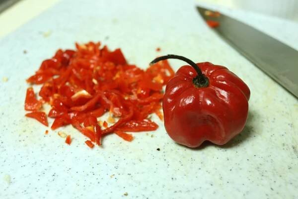 The Scotch bonnet’s journey from the Orinoco River Valley to the jerk pit