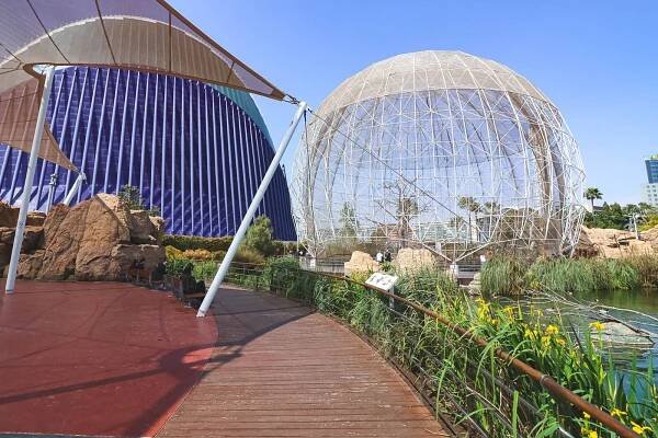 Aviary in Oceanografic, Valencia