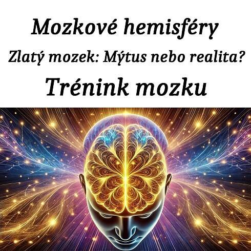 Mozkové hemisféry, trénink mozku, zlatý mozek - ADHD strategie