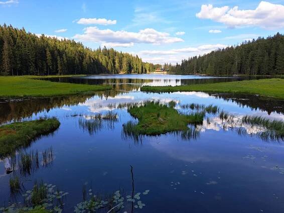 Šumava s dětmi – hory, hřiště, jezera i koupání - Brněnská máma