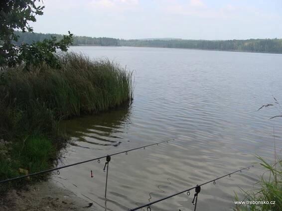 Rekreační rybaření - rybník Staňkovský