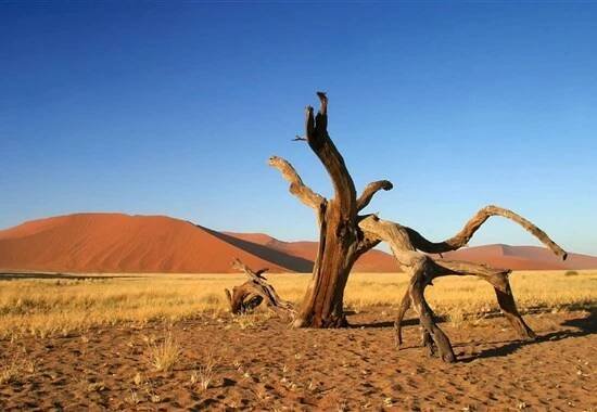 Namibie - barvy pouště s anglickým průvodcem - Afrika