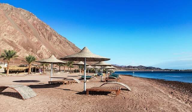 Taba : 