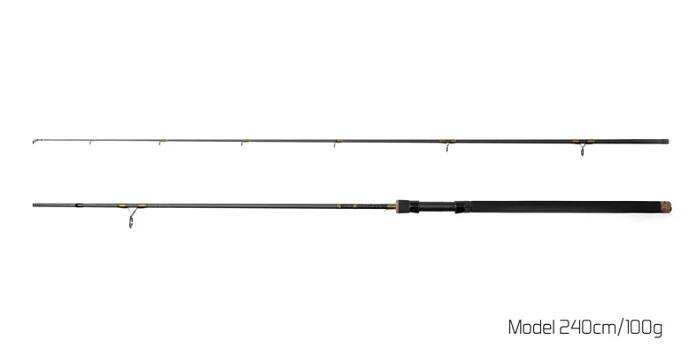 Delphin Prut Murena 3m 100g 2-díl | AzFishing.cz
