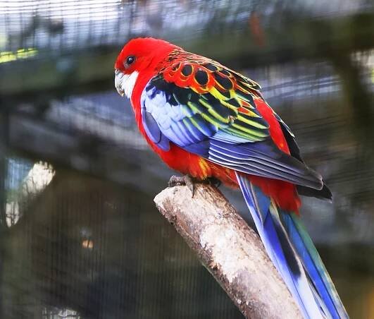 AKTUELLES - Schwarzwaldzoo Waldkirch