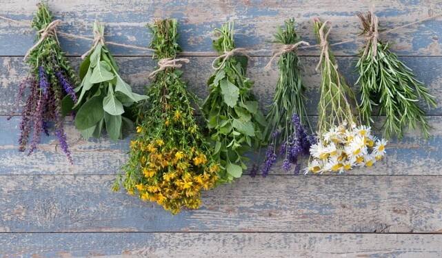 Cyklus – Jak si bylinkami upevnit své zdraví? 1. setkání