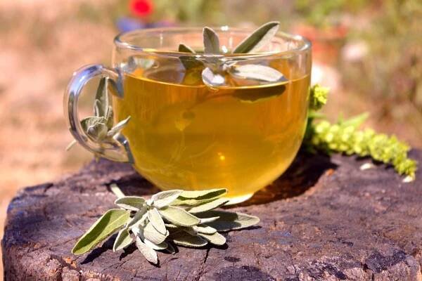 Pomůže při menopauze a podpoří zdraví mozku: Čaj z této bylinky pijte po padesátce denně
