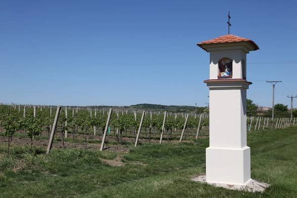 Navštivte templářské sklepy | Templářské sklepy Čejkovice vinařské družstvo