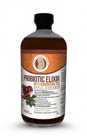 Probiotic Elixir Apple Cinnamon w/ Kombucha Tea - This Chick is Raw