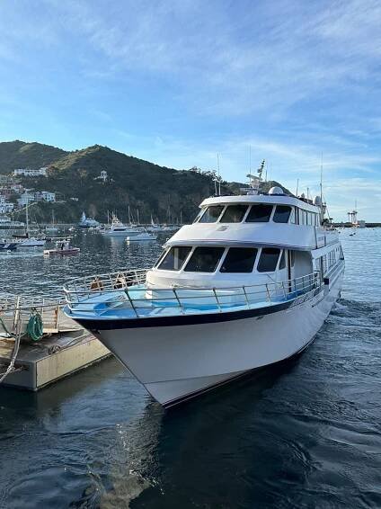 Complete Travel Guide to Catalina Island - Talia's Bucketlist