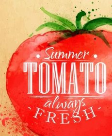 Plakát akvarel rajče nápisy letní tomato vždy čerstvé, kreslení na papír kraft — Ilustrace