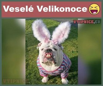 Veselé Velikonoce - Vtipnice.eu