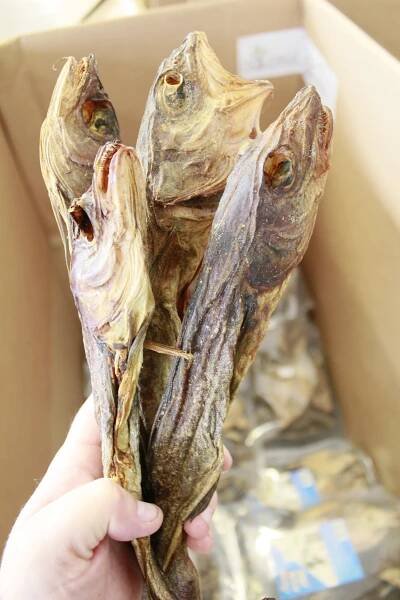 Sušená mořská štika 1kg