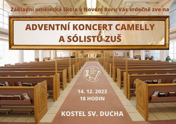 Koncert Camelly a sólistů - ZUŠ Nový Bor