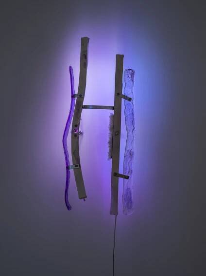 Sculptures by Lizzie Wright, photograph by Zach Hyman